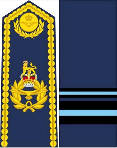 AG九游會(huì)·「中國(guó)」官方網(wǎng)站英國(guó)皇家空軍軍銜標(biāo)志詳解(圖8)