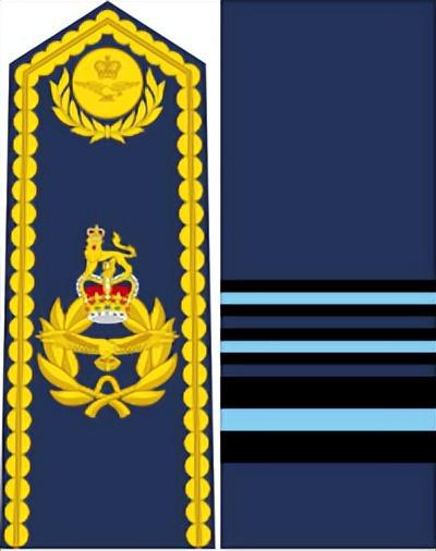 AG九游會(huì)·「中國(guó)」官方網(wǎng)站英國(guó)皇家空軍軍銜標(biāo)志詳解(圖6)