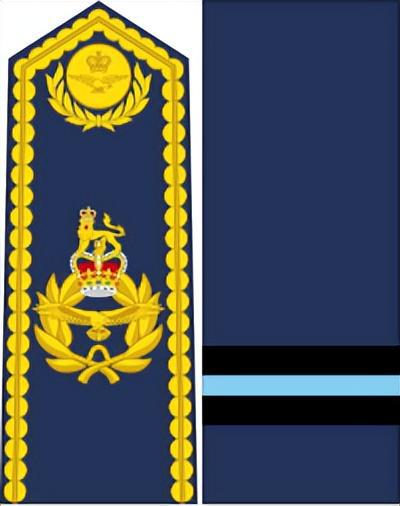 AG九游會(huì)·「中國(guó)」官方網(wǎng)站英國(guó)皇家空軍軍銜標(biāo)志詳解(圖10)